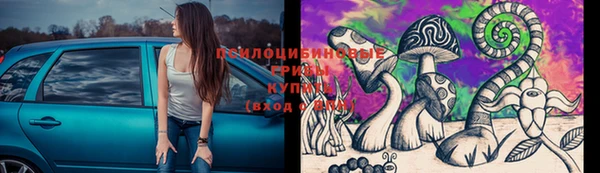 молекула духа Алексин