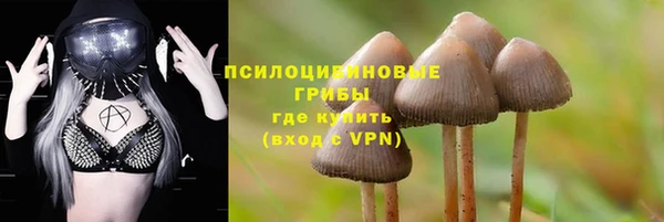 молекула духа Алексин