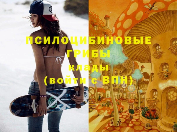 твердый Алзамай