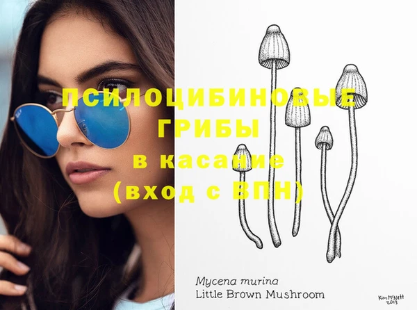 молекула духа Алексин
