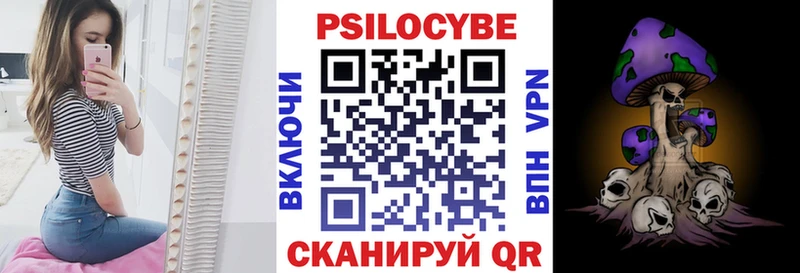 купить  сайты  mega ССЫЛКА  Псилоцибиновые грибы прущие грибы  Киселёвск 